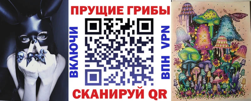 Псилоцибиновые грибы прущие грибы  сколько стоит  Кадников 